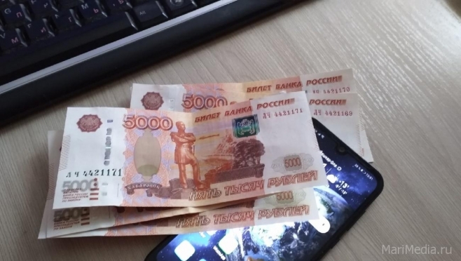 Лжебанкиры выманили более 600 тысяч рублей за сутки у жителей Марий Эл