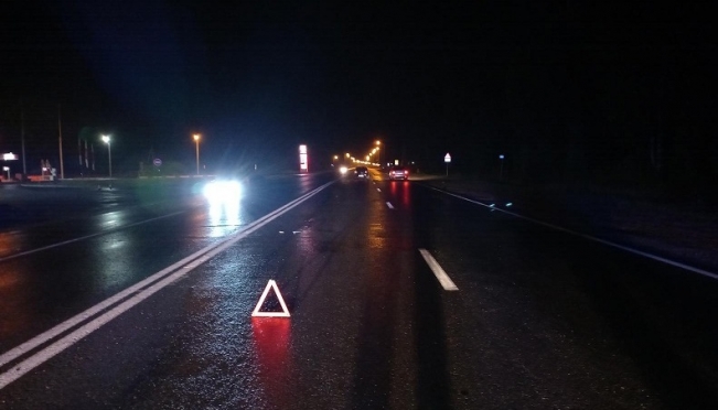 Каждое четвертое ДТП в Марий Эл связано с наездами на пешеходов