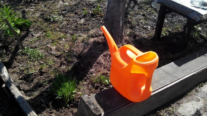 10% россиян планируют провести отпуск летом на даче