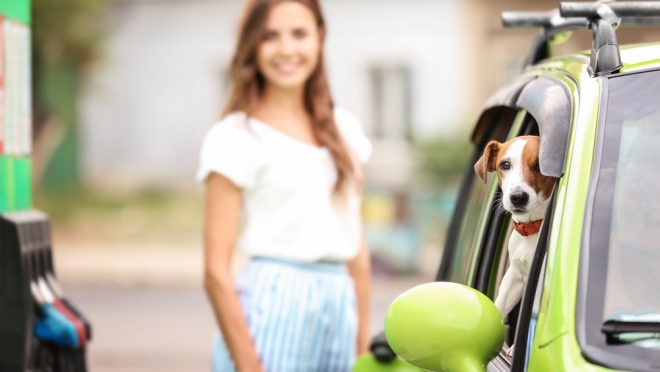 В Марий Эл подорожали бензин, корма для животных, но подешевели путёвки в санаторий