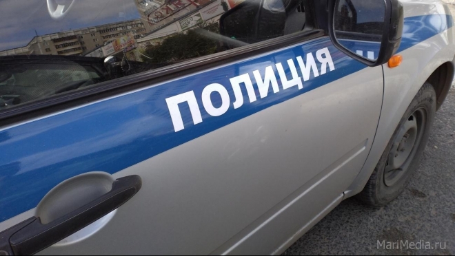 В Козьмодемьянске искали пропавших 10-летних мальчиков