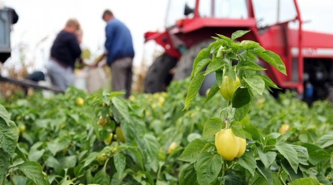 До конца года в Марий Эл необходимо  решить проблему маятниковой трудовой миграции