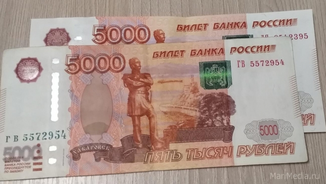 В Марий Эл перечисляют соцвыплаты на детей