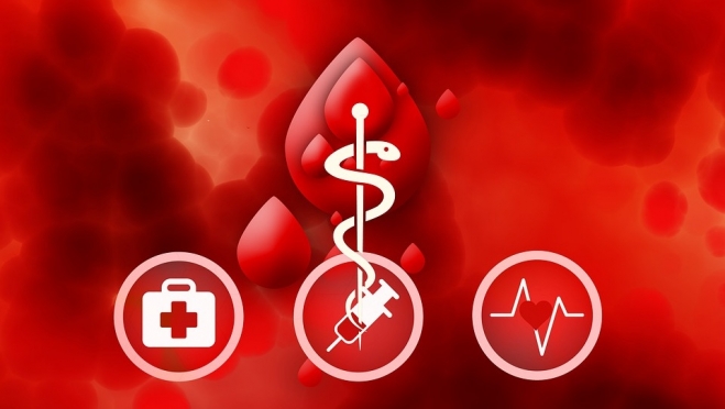 В Марий Эл «почётным донорам» перечислены денежные выплаты