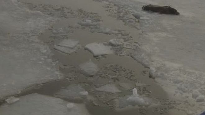 В Кирове под лёд провалились два ребёнка