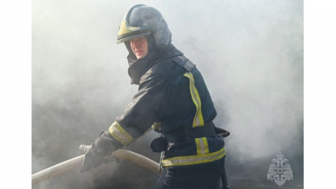 На прошлой неделе в Марий Эл произошло 12 пожаров