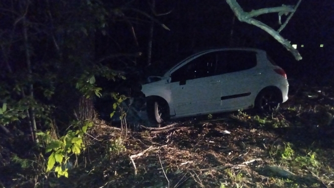 В Волжском районе пьяный водитель Peugeot протаранил дорожный знак и дерево