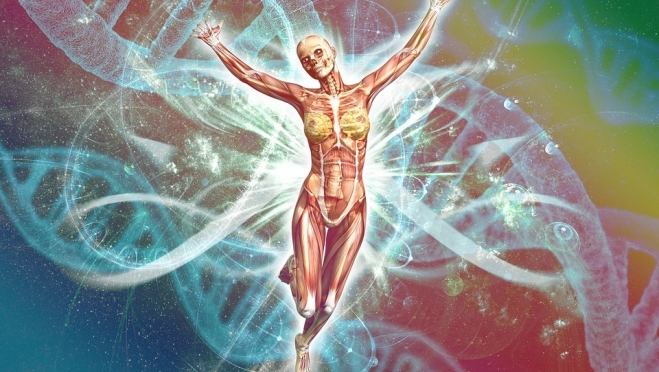 Опыт скринингового обследования в Марий Эл могут распространить по всей России