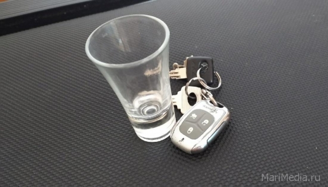 В Марий Эл задержали восемь пьяных водителей