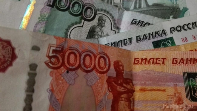 В Марий Эл возбуждено  уголовное дело по факту невыплаты заработной платы