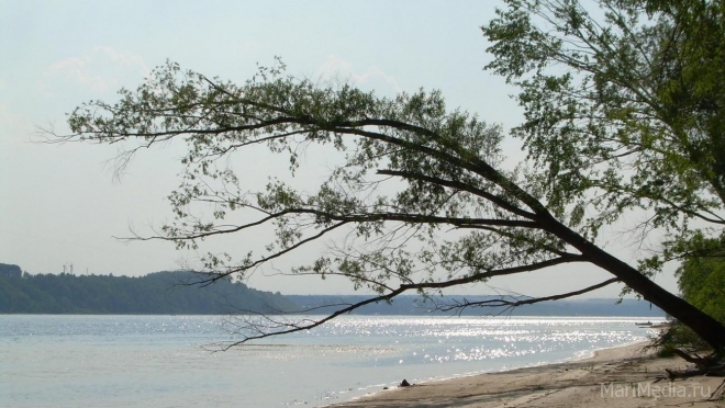 В посёлке Кокшайск очистят от мусора берег Волги