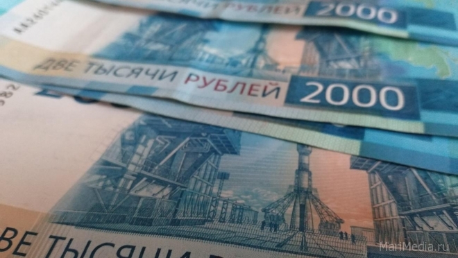 В первом полугодии две семьи Марий Эл направили маткапитал на накопительную пенсию мамы