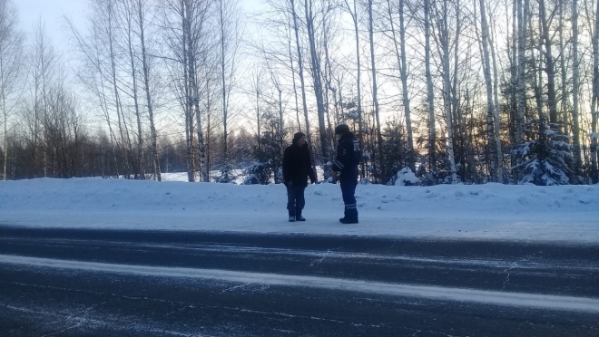 Госавтоинспекторы ведут профилактические беседы с пешеходами