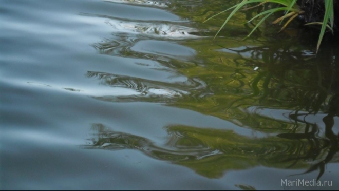 В Куженерском районе в субботу утонул человек