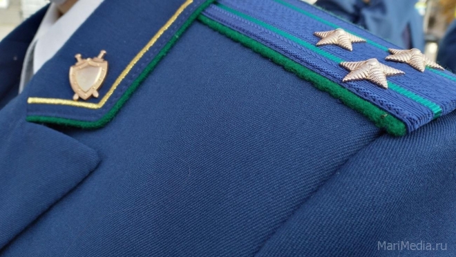 Прокуратура Куженерского района взяла на контроль расследование убийства собаки