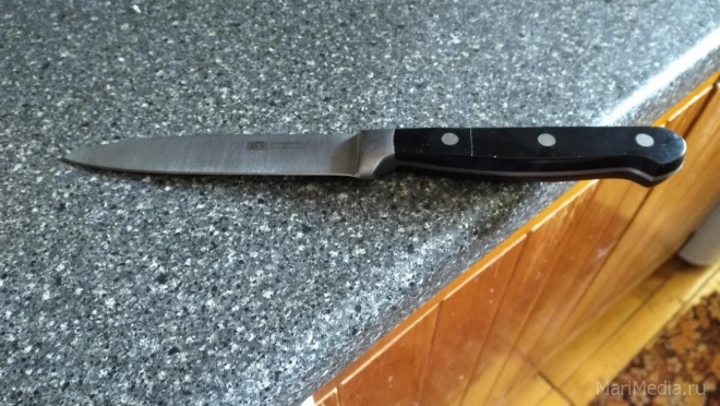 Жительница Горномарийского района порезала сожителя