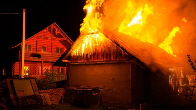 В Марий Эл пенсионер получил срок за жестокое обращение с животными