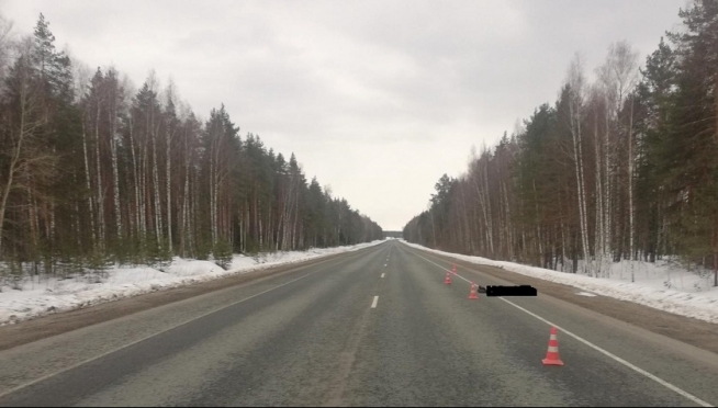 На 48 км автодороги «Вятка» неизвестный сбил насмерть 32-летнего мужчину