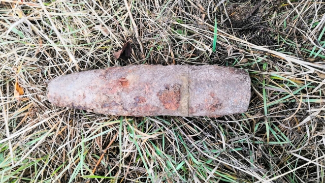 Жительница Моркинского района нашла в лесу снаряд