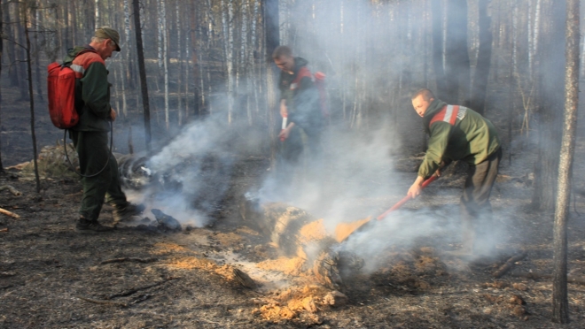 Контроль и раннее обнаружение лесных пожаров в Марий Эл будет вестись из космоса