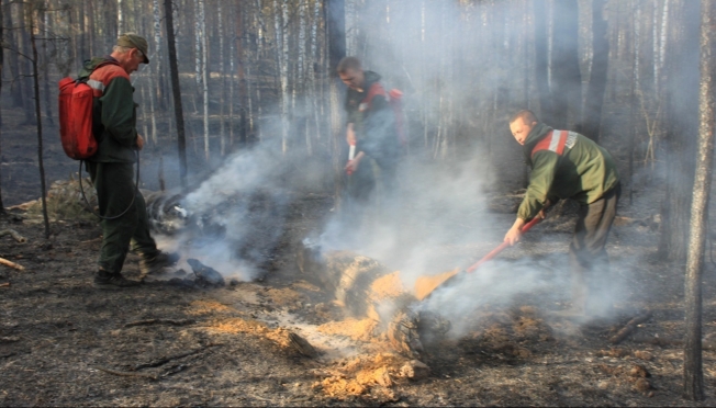 В Марий Эл зарегистрировано 5 лесных пожаров