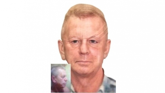 В Параньгинском районе в лесу пропал 66-летний мужчина