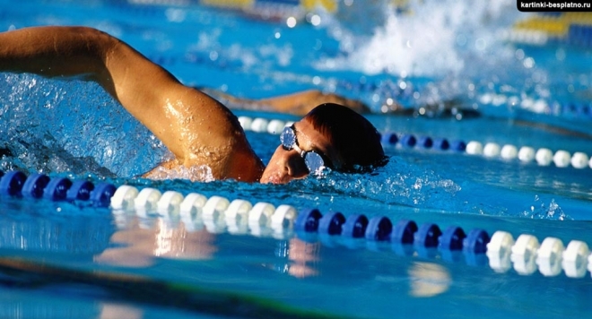 Чемпионат России по плаванию