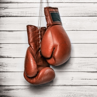 Кубок Республики Марий Эл по муайтай