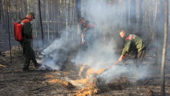В селе Марьино на сотовой вышке установят камеру для обнаружения лесных пожаров
