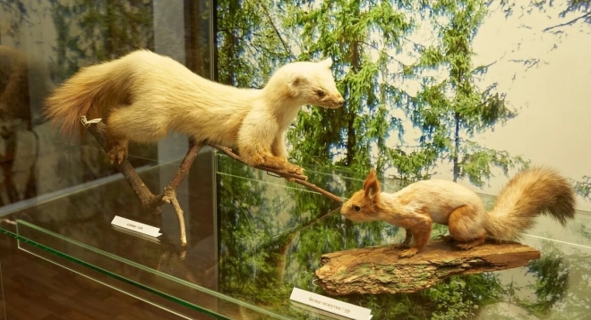 Тот самый музей