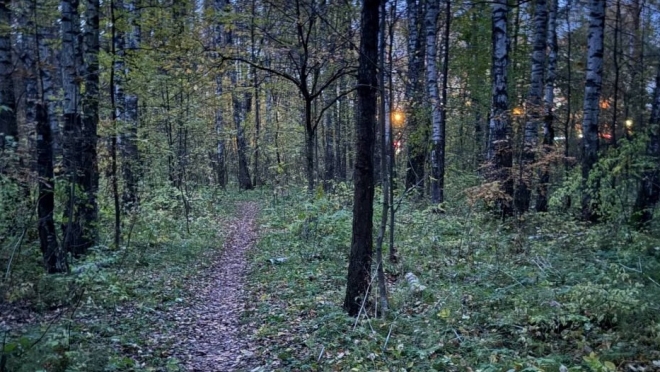 В Йошкар-Оле задержали 16-летнюю закладчицу наркотиков