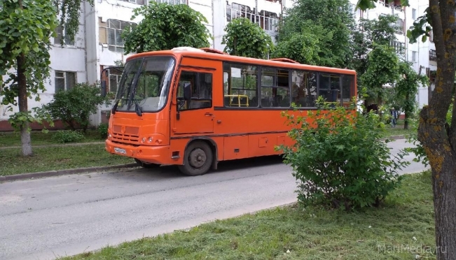 В сады «Кучки», «Клён» и «Чернушка» будут регулярно ходить автобусы