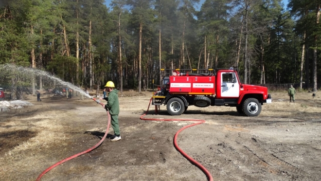 В лесах Марий Эл установлен IV класс пожарной опасности