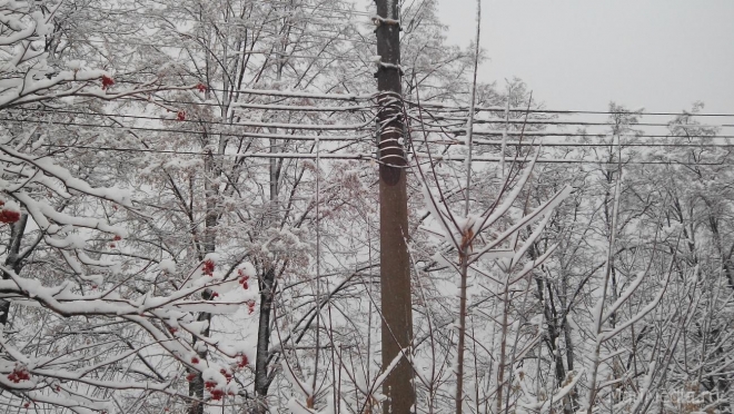 В Горномарийском районе произошло аварийное отключение электроснабжения