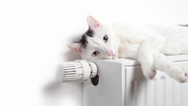 Отопление в Йошкар-Оле включат уже завтра