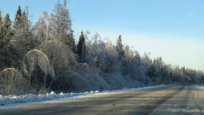 В выходные в Марий Эл ударит мороз