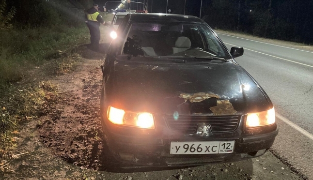 На 51 км автодороги «Йошкар-Ола – Зеленодольск» сбили пешехода