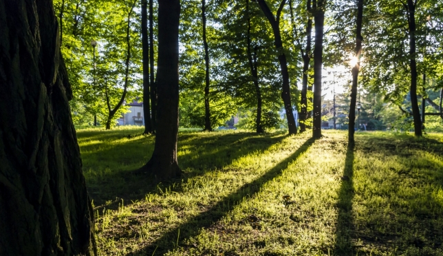 В Марий Эл на смену аномальной жаре пришло комфортное тепло