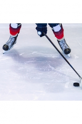 Чемпионат Республики Марий Эл по хоккею среди любительских команд