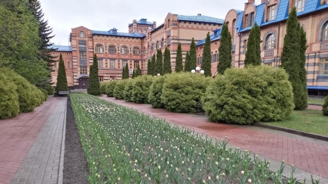 Йошкаролинцы озадачились, почему на городских клумбах нет тюльпанов