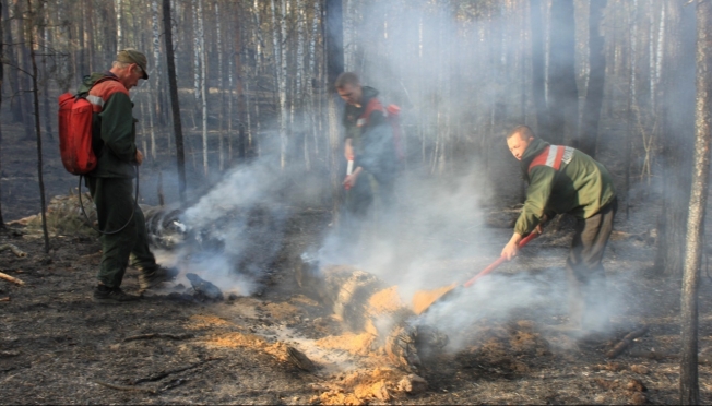 С начала пожароопасного сезона в лесах Марий Эл возникло 8 лесных пожаров
