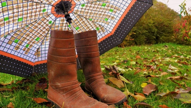 Для хорошего самочувствия осенью нужно компенсировать недостаток солнечного света