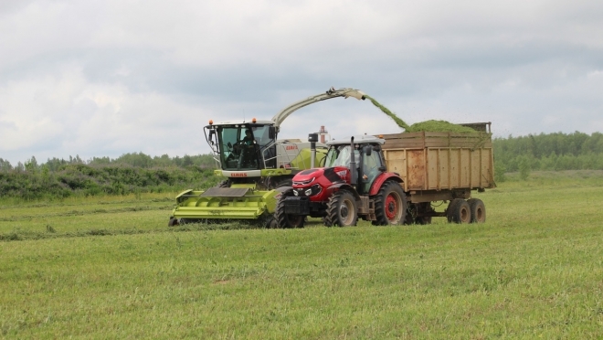 В Марий Эл к заготовке кормов приступили на 10 дней раньше, чем в прошлом году