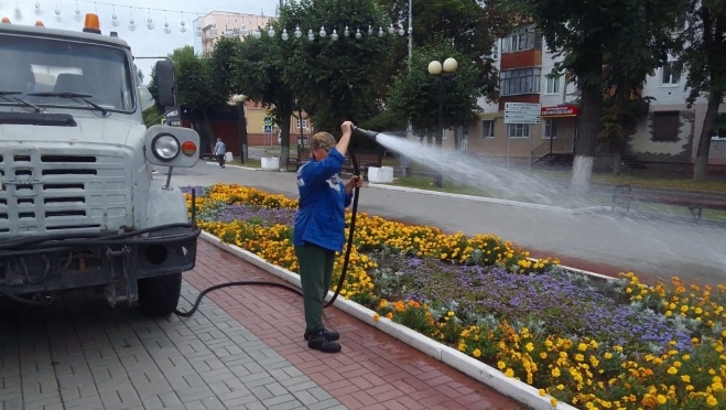 Озеленители Йошкар-Олы пояснили, почему они поливают городские клумбы в дождь