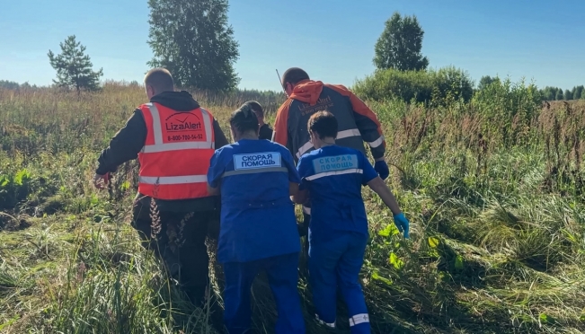 В Марий Эл в августе поисковики «ЛизаАлерт» нашли 15 человек