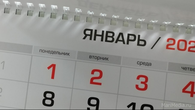 Депутаты Госдумы предлагают сократить на 4 дня новогодние каникулы