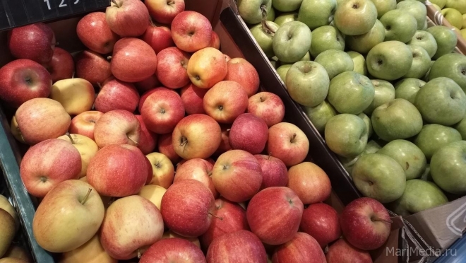 Польские садоводы начали выкорчёвывать яблони