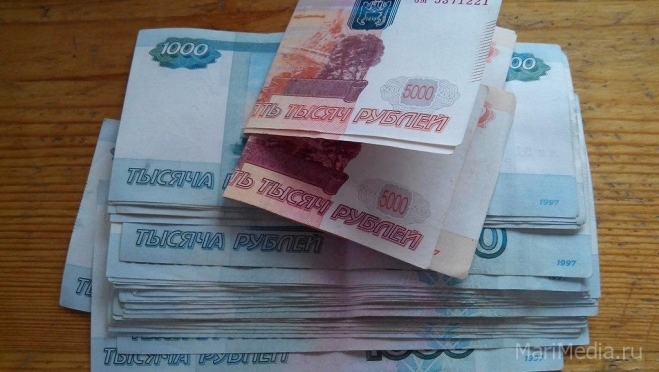 С начала года зарплатный долг в республике превысил 8,6 млн рублей