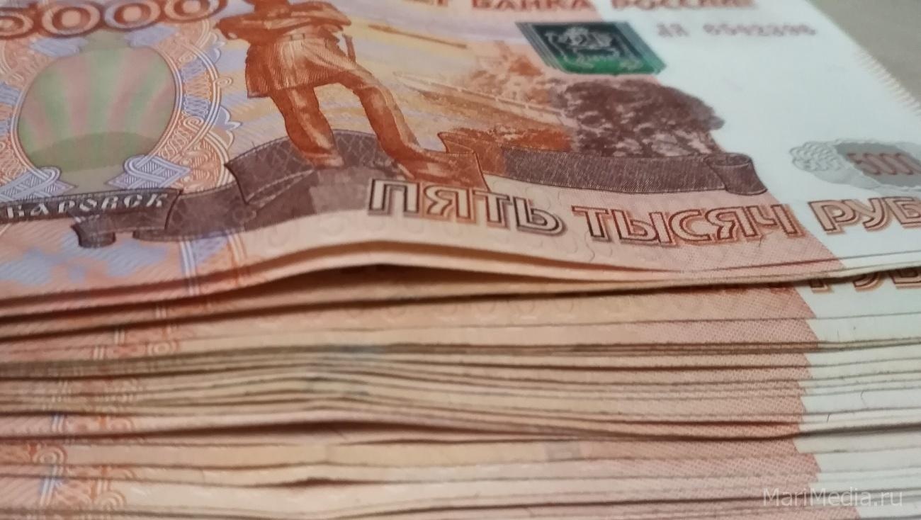 В Марий Эл долги по зарплате за месяц выросли в 3,5 раза