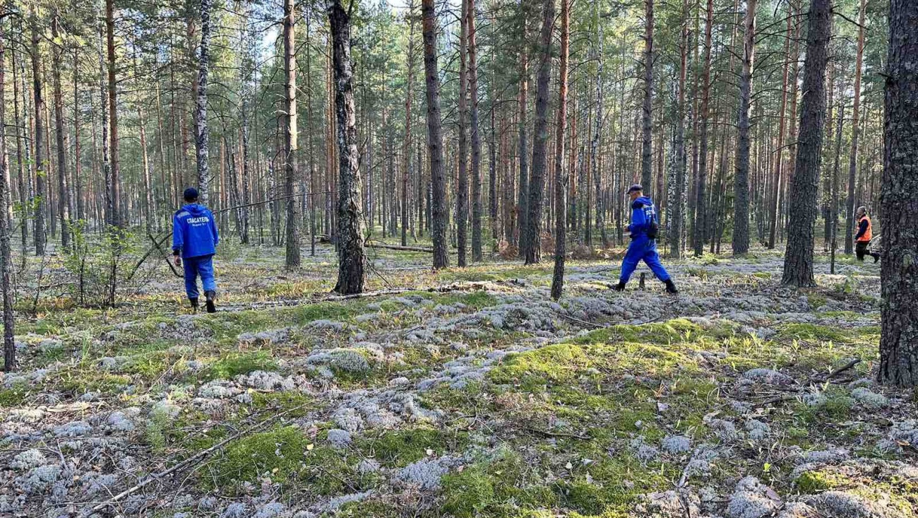 Пропавшую в Звениговском районе женщину нашли на краю болота